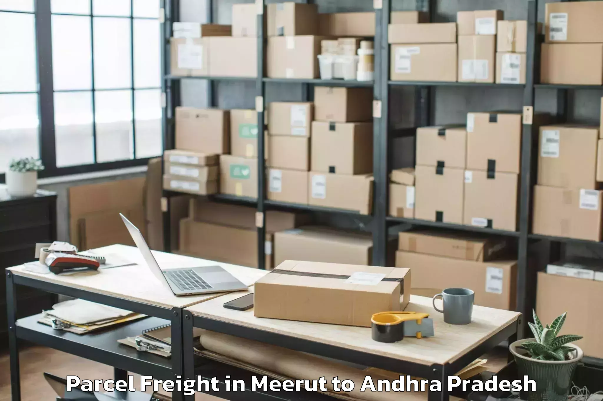 Trusted Meerut to Chilakalurupet Parcel Freight